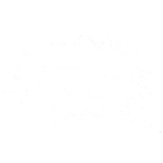 BMW Vrakoviště Chotětov logo
