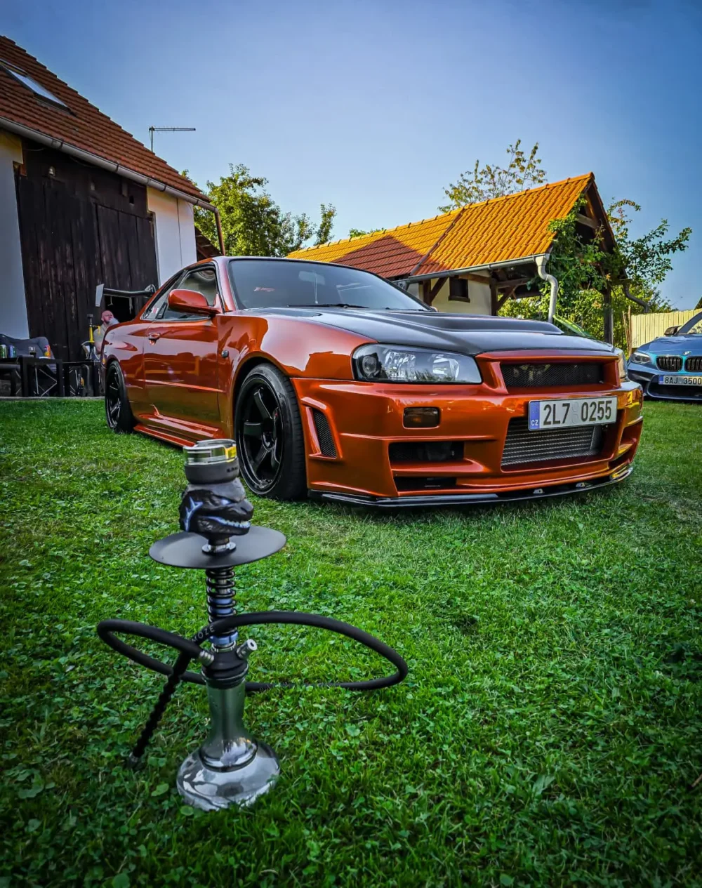Vodní dýmka - Obrázek 2